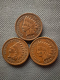 Three (3) Indian Head Pennies • Random Dates • Good Condition • Authentic US Coins